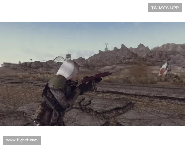 辐射新维加斯：探索Mod装备的无尽可能